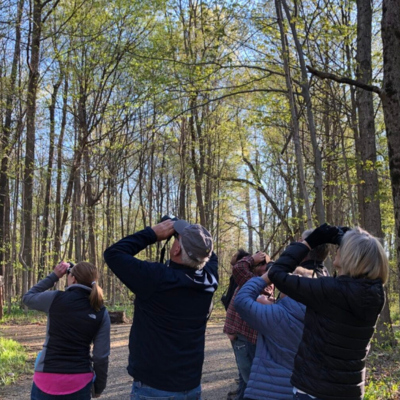 A group of people with binoculars look upward in the forest.