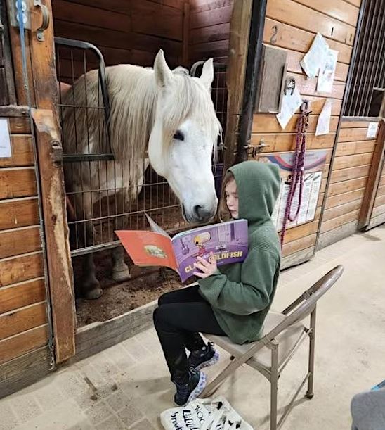 A girl in a green hoodie reads a picture book to a white horse in its stall.