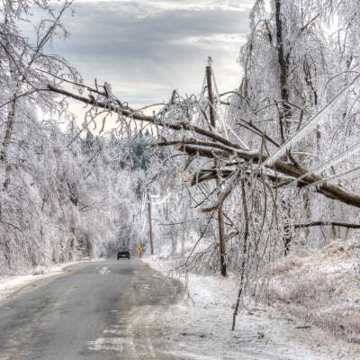 A picture of an Abraham Lincoln impersonator.